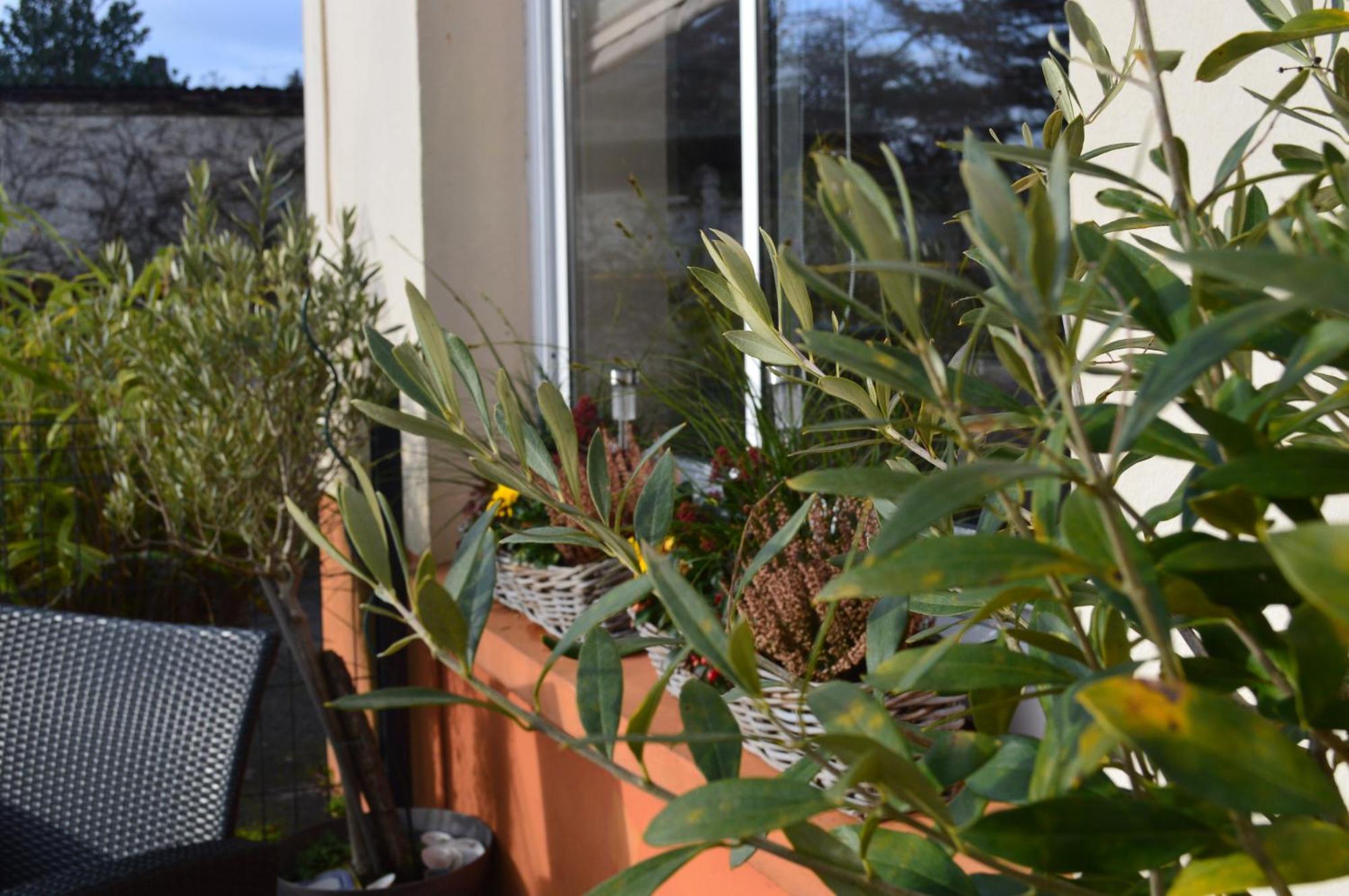 Logis Hotel & Restaurant La Paix Le Nouvion-en-Thierache 外观 照片